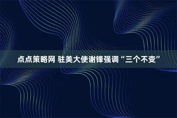 点点策略网 驻美大使谢锋强调“三个不变”